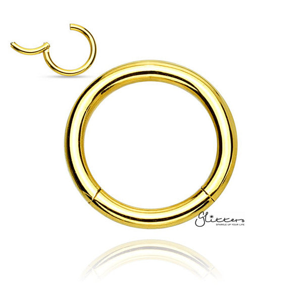 18 Gauge Hinged Stainless Steel Segment Hoop Rings-Silver | Gold | Black | Rose Gold-Best Sellers, Body Piercing Jewellery, Cartilage, Jewellery, Men's Earrings, Men's Jewellery, Septum Ring, Women's Earrings-CP0016_G_01_6558c877-0d0f-494e-b304-7d20308ac35b-Glitters